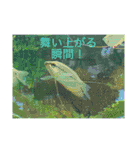 フィッシュポケット【スタンプ第1弾】（個別スタンプ：3）