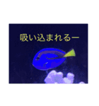 フィッシュポケット【スタンプ第1弾】（個別スタンプ：12）