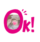 りぃぽぽスタンプ（個別スタンプ：1）