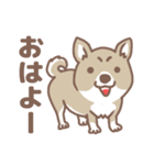 可愛くってたまらん柴犬1（個別スタンプ：1）