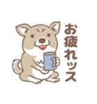 可愛くってたまらん柴犬1（個別スタンプ：3）