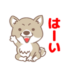 可愛くってたまらん柴犬1（個別スタンプ：4）