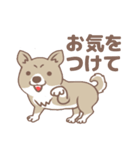 可愛くってたまらん柴犬1（個別スタンプ：12）