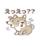 可愛くってたまらん柴犬1（個別スタンプ：14）