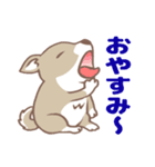 可愛くってたまらん柴犬1（個別スタンプ：17）