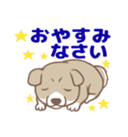 可愛くってたまらん柴犬1（個別スタンプ：18）