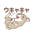 可愛くってたまらん柴犬1（個別スタンプ：19）