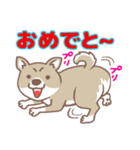 可愛くってたまらん柴犬1（個別スタンプ：25）