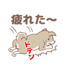 可愛くってたまらん柴犬1（個別スタンプ：28）