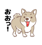 可愛くってたまらん柴犬1（個別スタンプ：30）