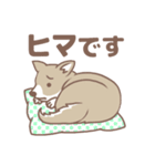 可愛くってたまらん柴犬1（個別スタンプ：32）