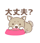 可愛くってたまらん柴犬1（個別スタンプ：34）