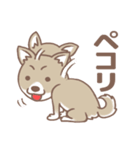 可愛くってたまらん柴犬1（個別スタンプ：36）