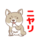 可愛くってたまらん柴犬1（個別スタンプ：38）