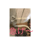 粘土王子のスタンプ3（個別スタンプ：7）