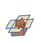 だんぼ～るにゃんこ～文字なし～（個別スタンプ：1）