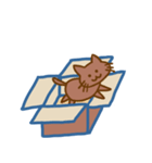 だんぼ～るにゃんこ～文字なし～（個別スタンプ：4）