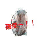 怪獣母ちゃん家族（個別スタンプ：5）