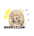 ななちゃんの日常スタンプ1（個別スタンプ：3）