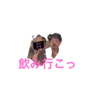 YPの日常（個別スタンプ：8）