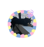 めねぎ（個別スタンプ：8）