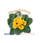 5月誕生日の友達に誕生花でHappy Birthday（個別スタンプ：1）
