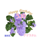5月誕生日の友達に誕生花でHappy Birthday（個別スタンプ：10）
