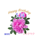 5月誕生日の友達に誕生花でHappy Birthday（個別スタンプ：14）