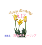 5月誕生日の友達に誕生花でHappy Birthday（個別スタンプ：17）