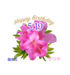 5月誕生日の友達に誕生花でHappy Birthday（個別スタンプ：19）