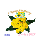 5月誕生日の友達に誕生花でHappy Birthday（個別スタンプ：23）