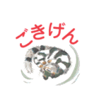 100万回生きたねこ Vol.2 ニコイチスタンプ（個別スタンプ：20）