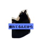 ア太郎＆三代目くろ（個別スタンプ：4）