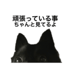 真っ黒ワンコ2:元気出して（個別スタンプ：5）