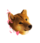 柴犬・幸 Sachi 2（個別スタンプ：14）