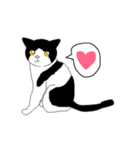 オートシェイプANIMALS（個別スタンプ：7）