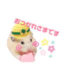 キンクマハムスターいなりと愉快な仲間たち（個別スタンプ：1）