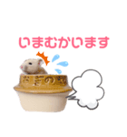 キンクマハムスターいなりと愉快な仲間たち（個別スタンプ：4）