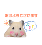 キンクマハムスターいなりと愉快な仲間たち（個別スタンプ：6）