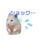 キンクマハムスターいなりと愉快な仲間たち（個別スタンプ：7）