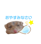 キンクマハムスターいなりと愉快な仲間たち（個別スタンプ：8）