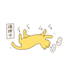 うととねこ（個別スタンプ：14）