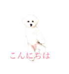 だいふくすたんぷ（個別スタンプ：1）
