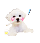 だいふくすたんぷ（個別スタンプ：4）