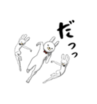 Mr＆Mrsうさぎ（個別スタンプ：33）
