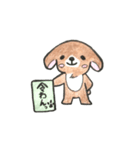 令わんこ（個別スタンプ：1）