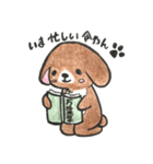 令わんこ（個別スタンプ：4）