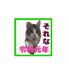 チロ助スタンプ11（個別スタンプ：2）
