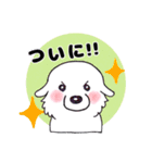 【新元号】大きな白い犬 ピレネー犬（個別スタンプ：21）