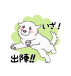 【新元号】大きな白い犬 ピレネー犬（個別スタンプ：23）